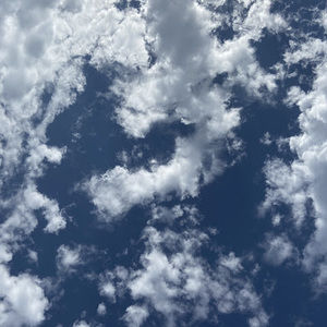 Meet your Posher, Adele